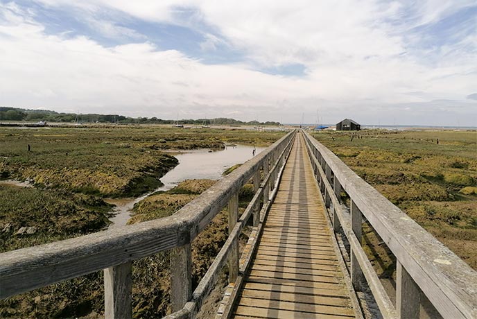 Looking down a wooden walkway at Newton Town Nature Reserve on the Isle of Wight