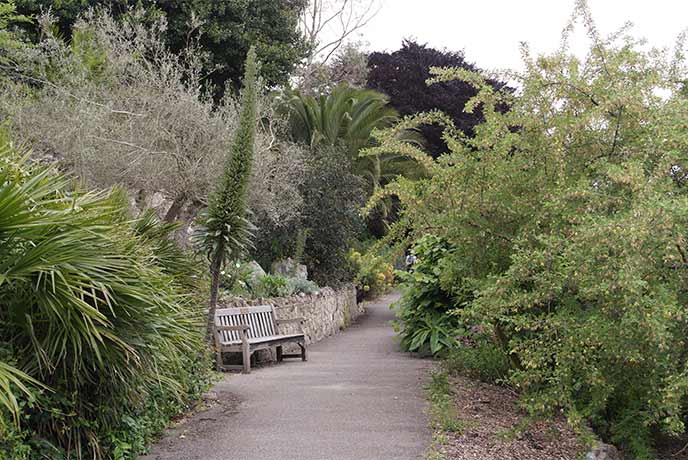 A bench in the path at Ventnor Botanic Garden on the Isle of Wight