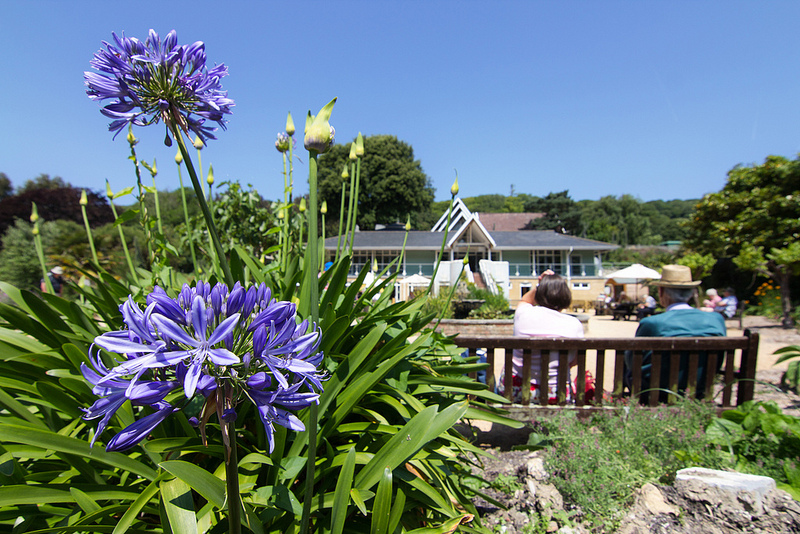 Ventnor Botanic Gardens