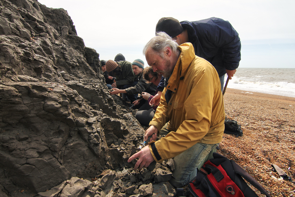 Isle of Wight Fossil Hunting