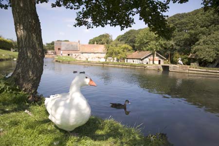 Calbourne Water Mill