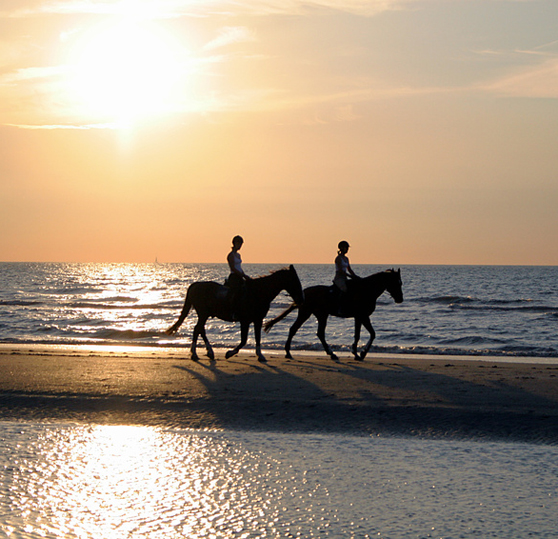 Horse Riding on the Isle of Wight